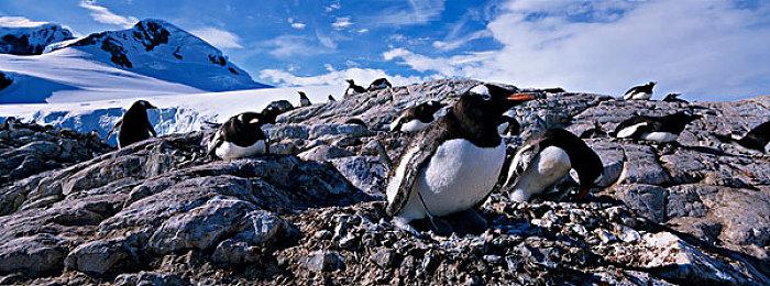 《绝地潜兵2》将加入多个载具 包括装甲运兵车