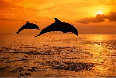 《马里奥赛车：世界》售价80美元 新增2个游戏模式